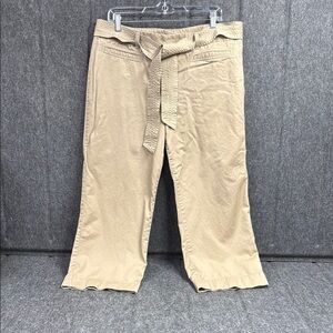 Ann Taylor Tan Chinos Cropped Wide Leg